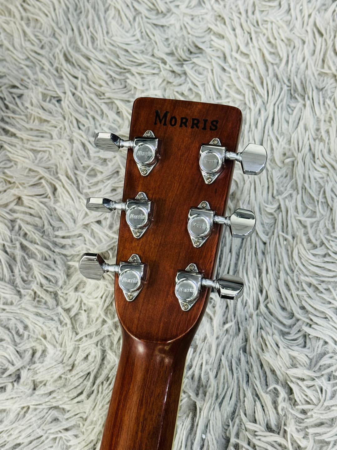 Đàn Guitar Acoustic Morris W25 1980