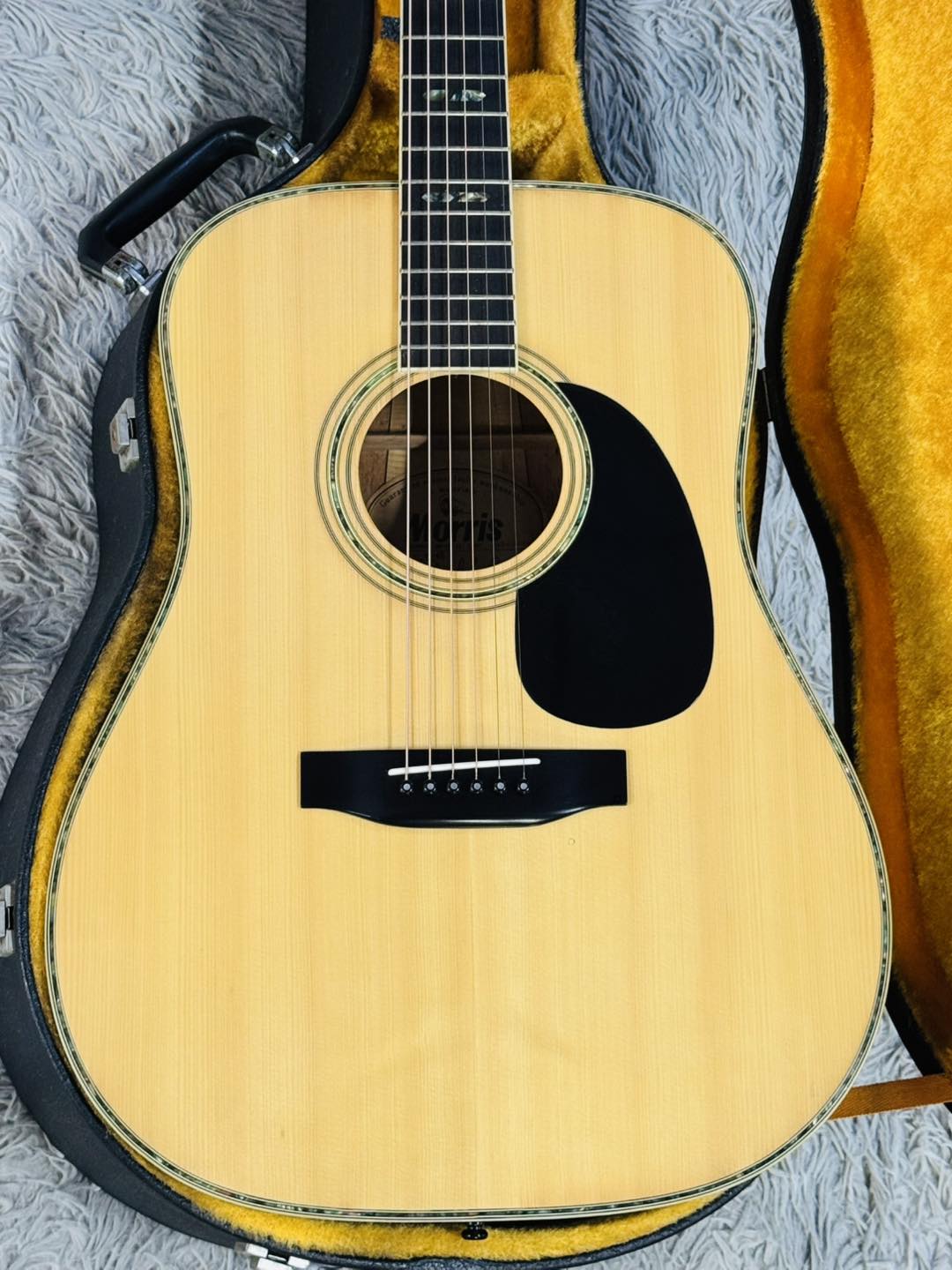 Đàn Guitar Acoustic Morris W40 1978