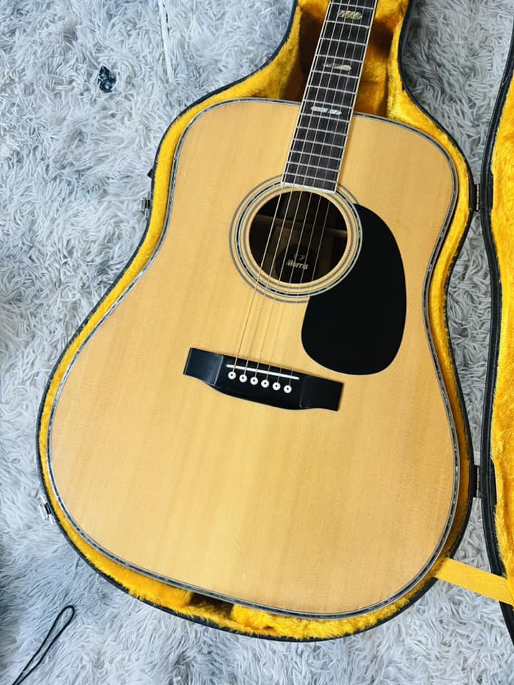 Đàn Guitar Acoustic Morris W50