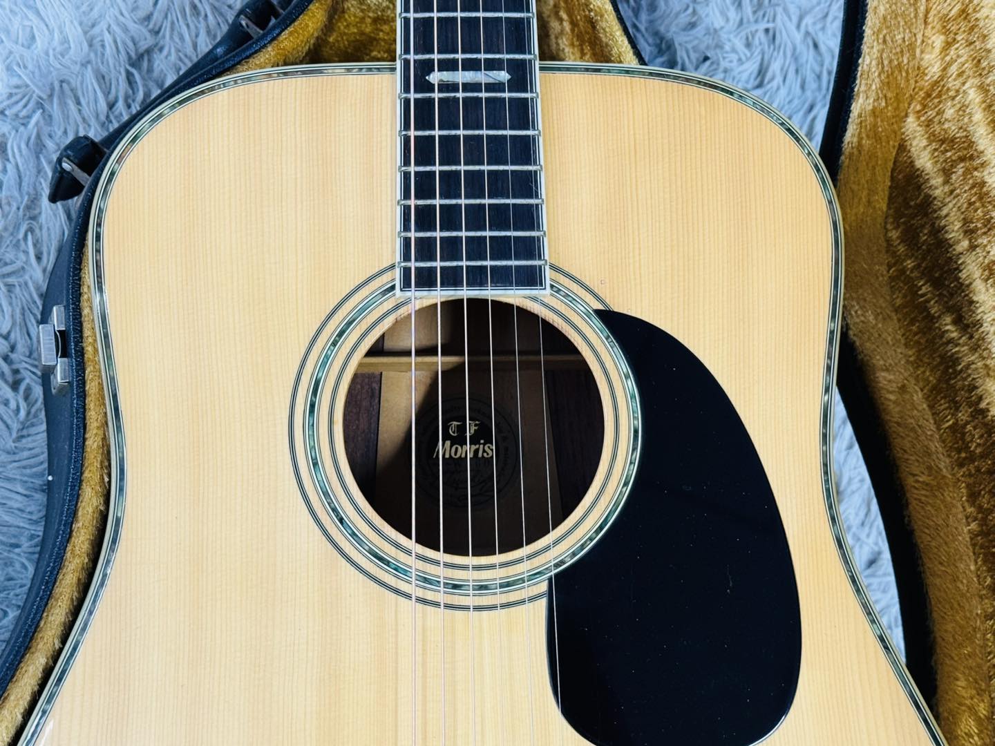 Đàn Guitar Acoustic Morris W60