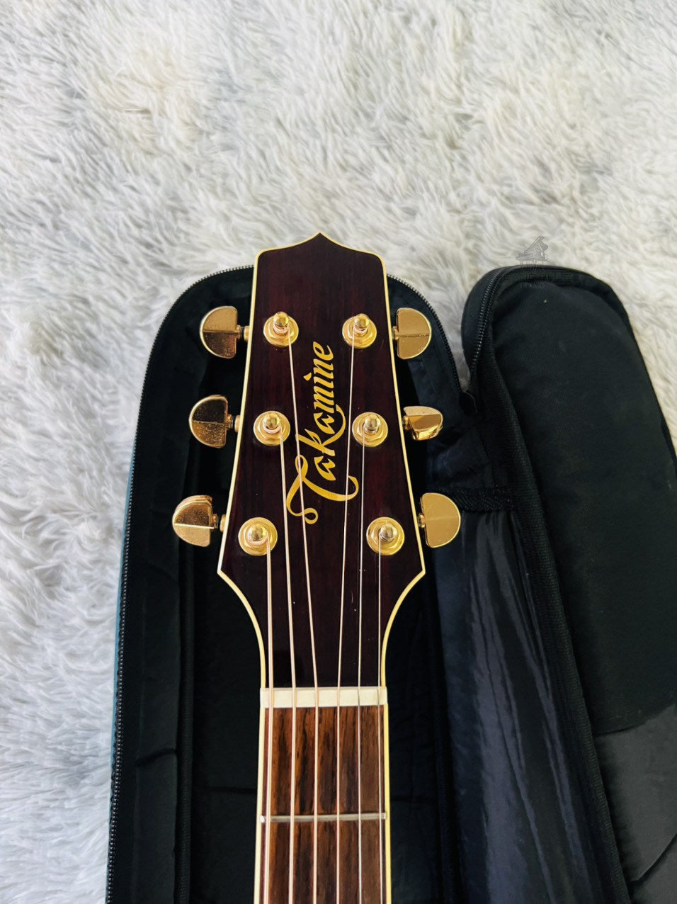 Đàn Guitar Acoustic Takamine DMP512 WR