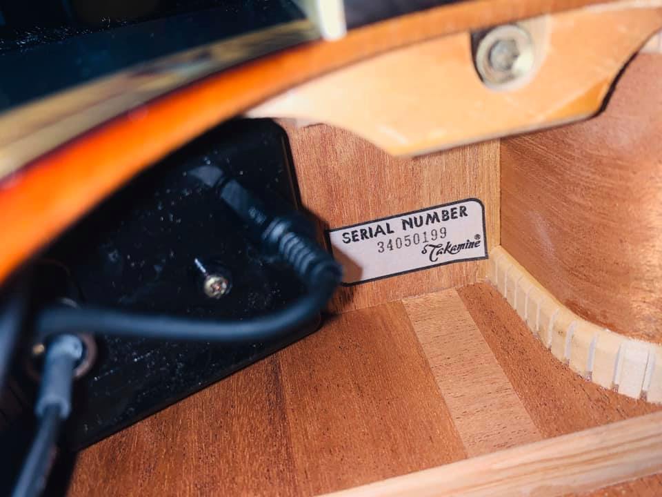 Đàn Guitar Acoustic Takamine NPT510 SNB