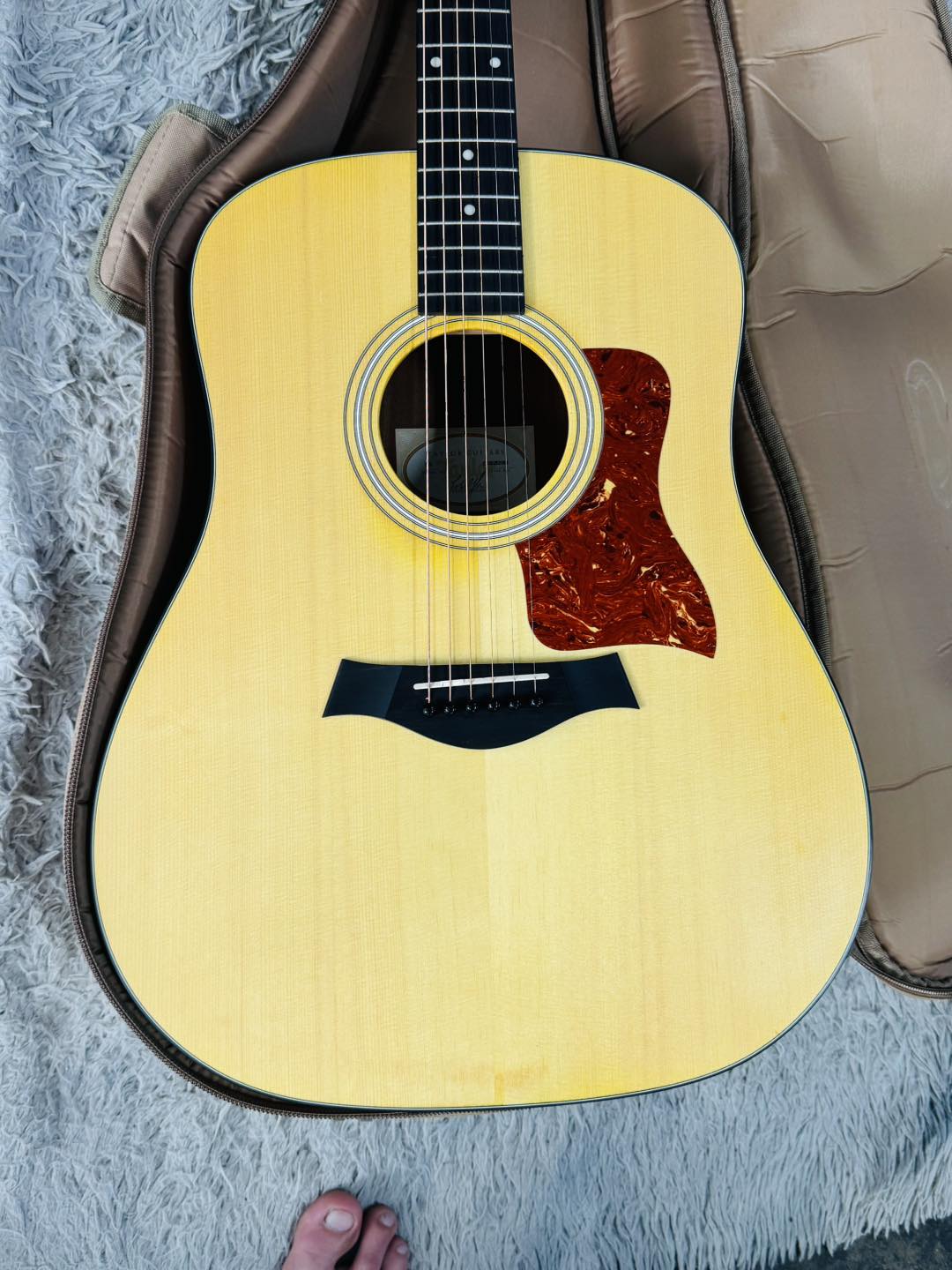 Đàn Guitar Acoustic Taylor 110