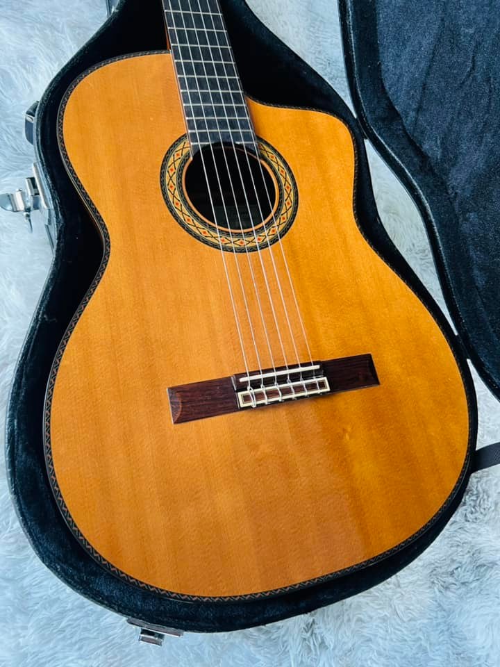 Đàn Guitar Classic Takamine DMP316