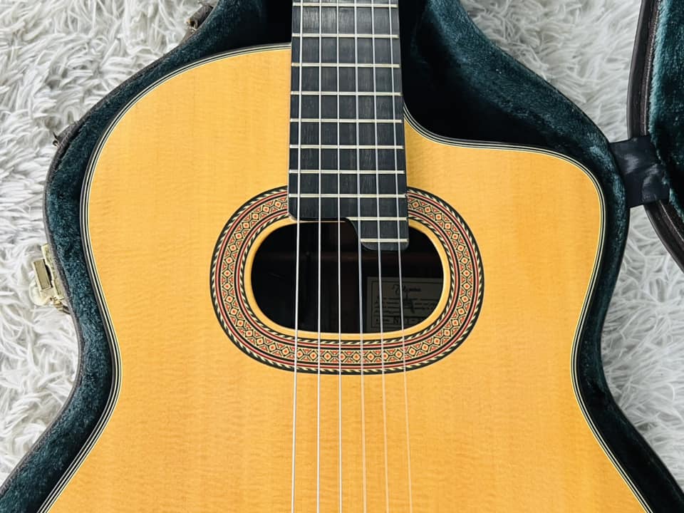 Đàn Guitar Classic Takamine NPT315