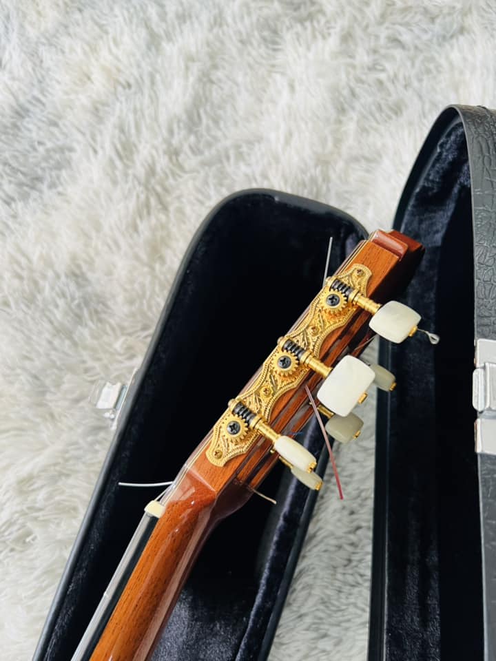 Đàn Guitar Classic Yamaha GC31C