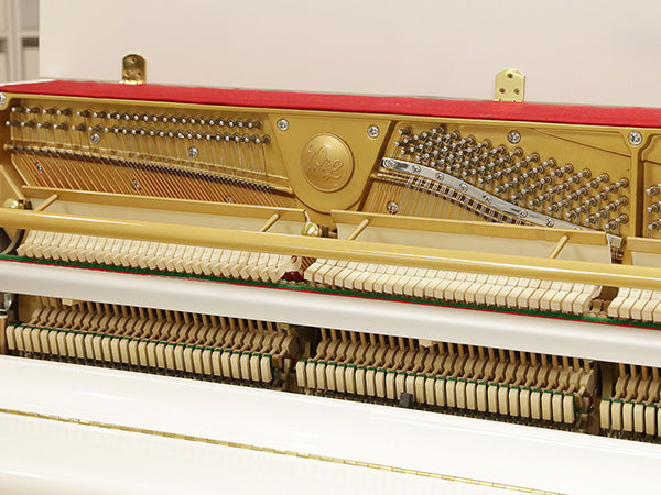 Đàn Piano Cơ Upright Wendl & Lung U118 White