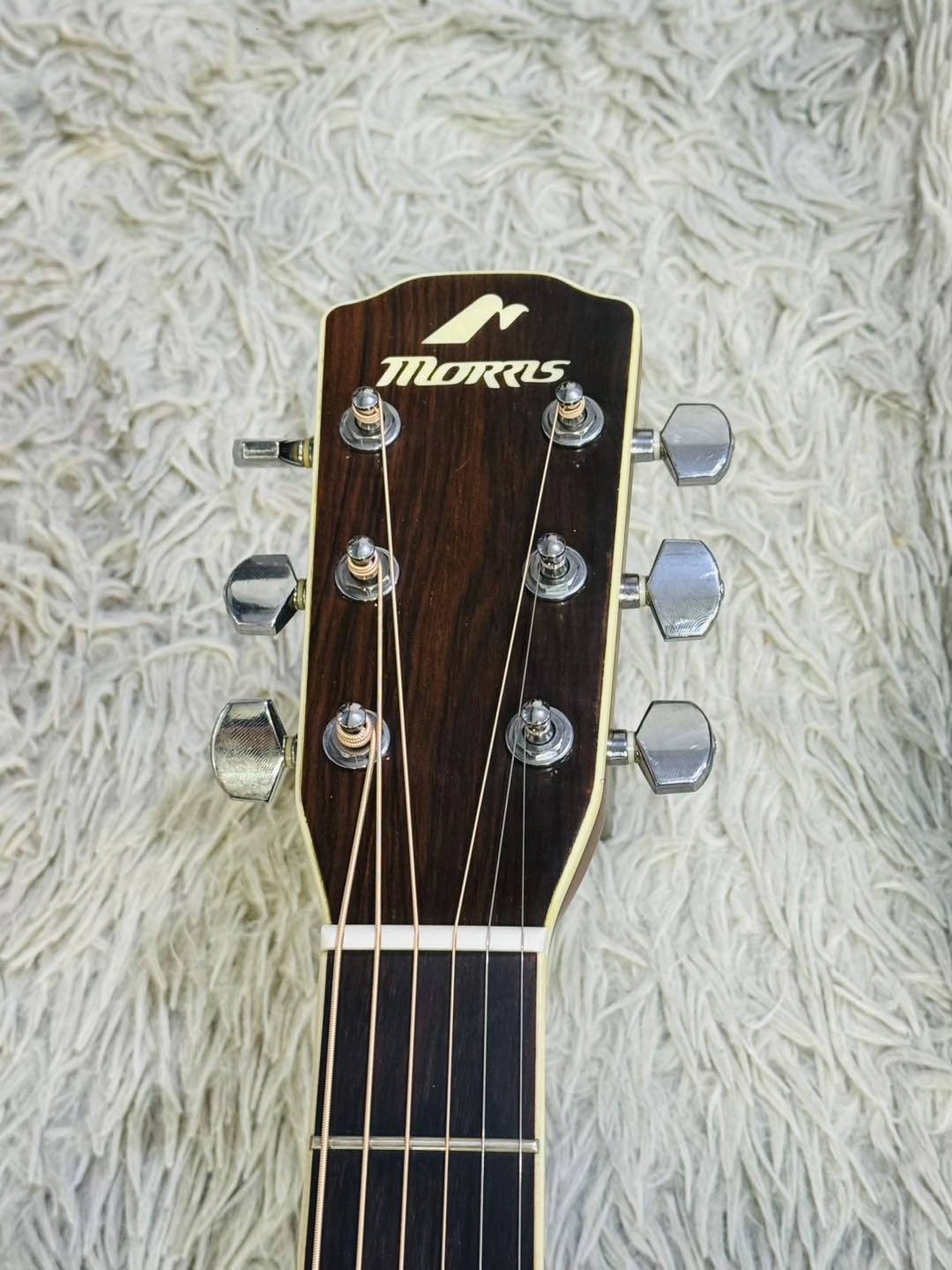 Đàn Guitar Acoustic Morris MF601