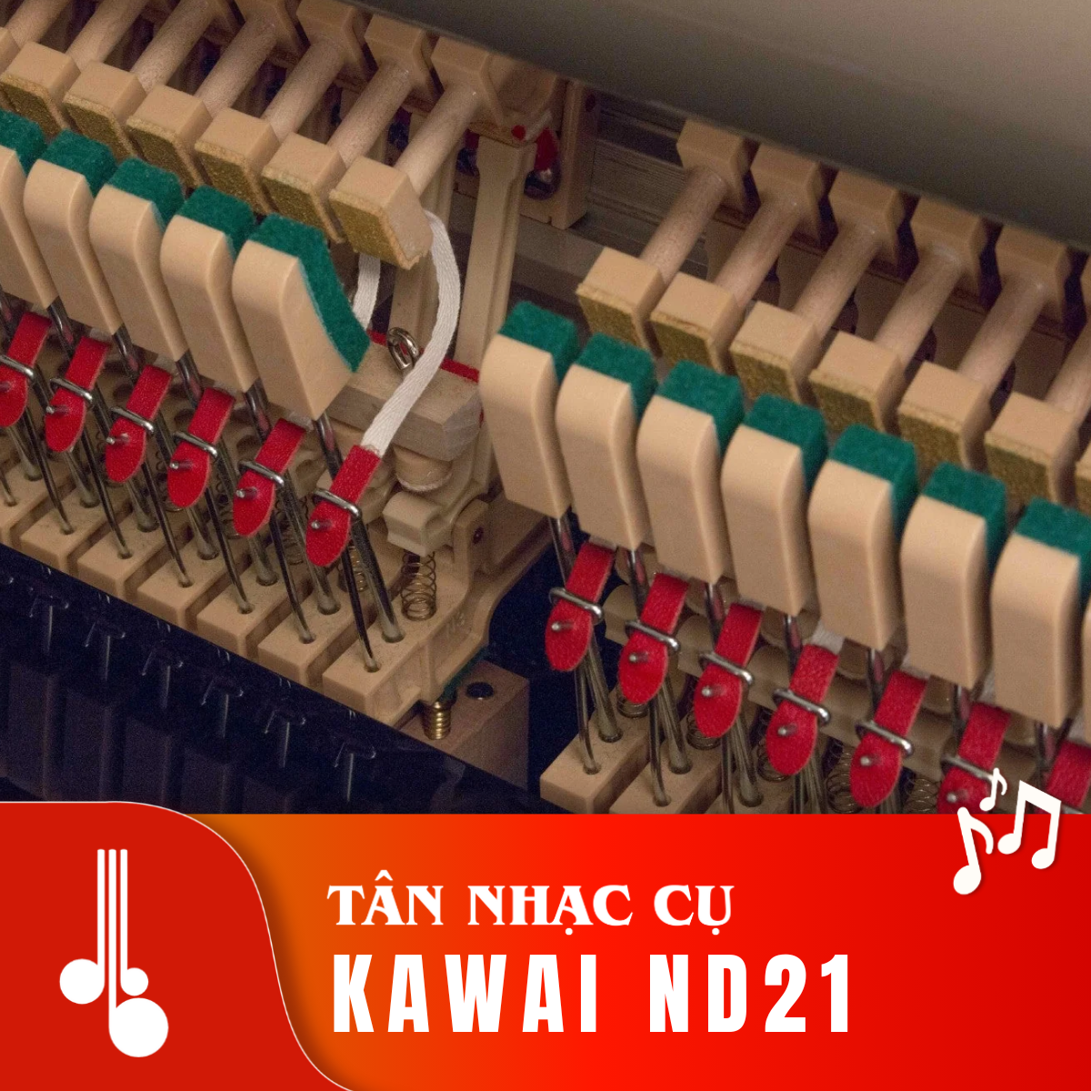 Kawai ND21 Tân Nhạc Cụ