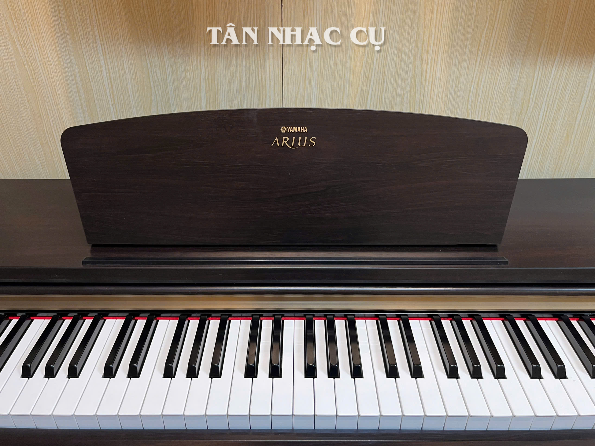 Đàn Piano Điện Yamaha YDP160