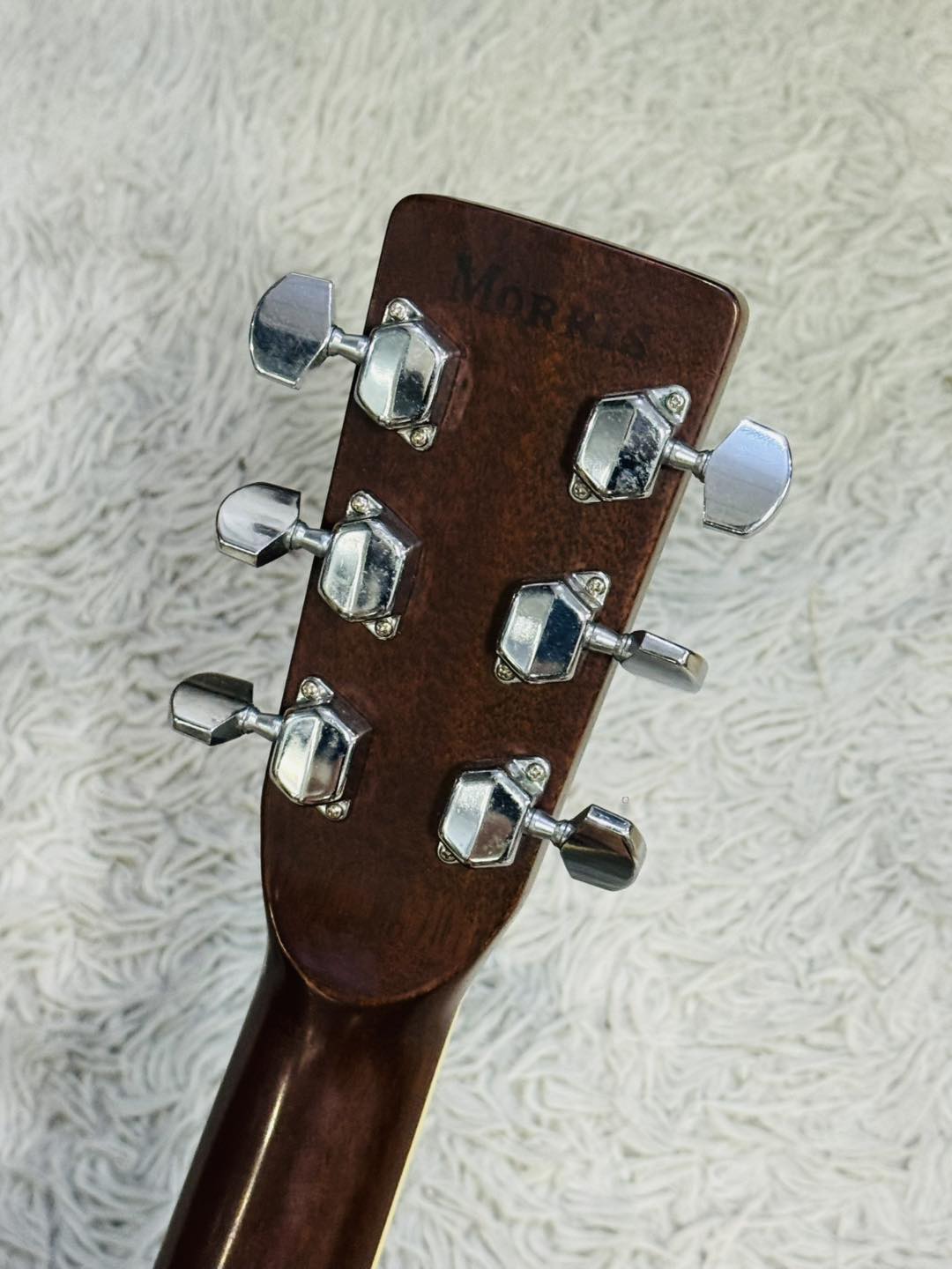 Đàn Guitar Acoustic Morris MD505