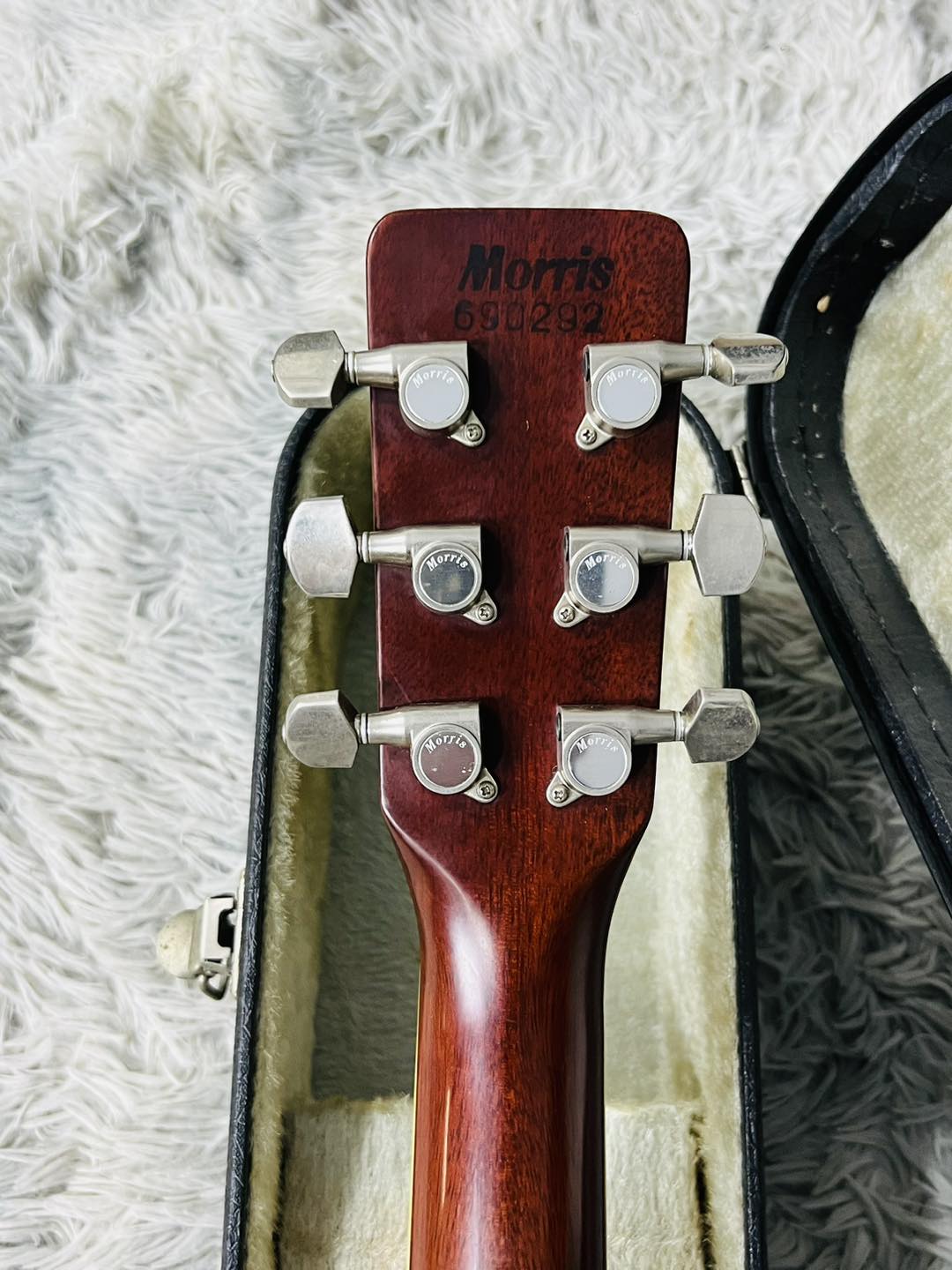 Đàn Guitar Acoustic Morris MD525