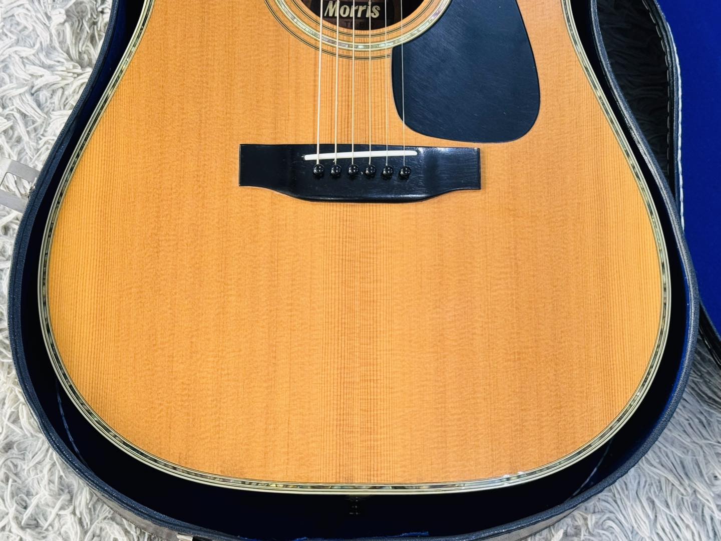 Đàn Guitar Acoustic Morris TF810