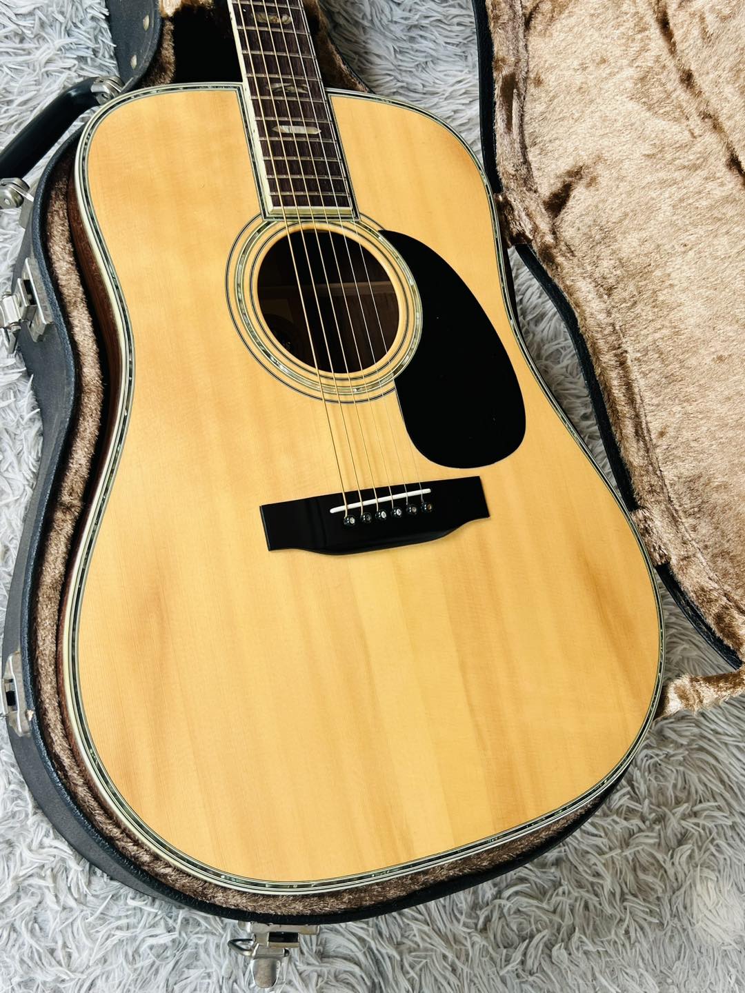 Đàn Guitar Acoustic Morris W100
