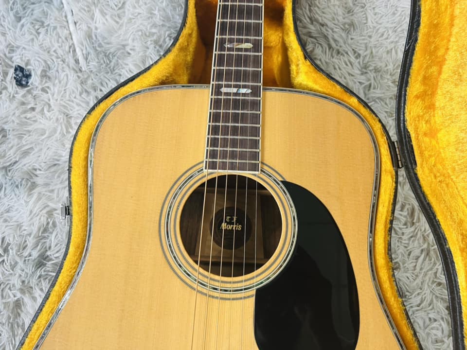 Đàn Guitar Acoustic Morris W50