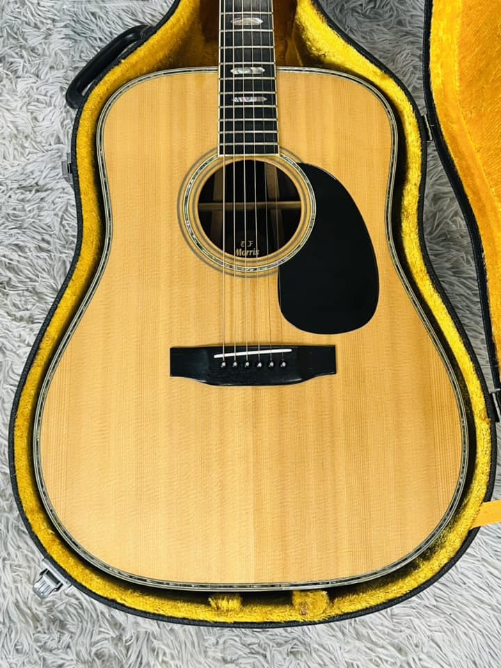 Đàn Guitar Acoustic Morris W80