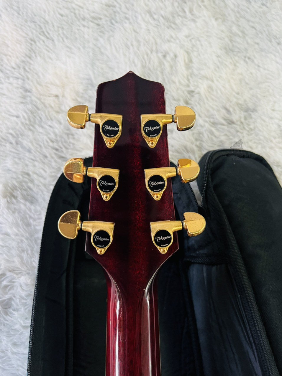 Đàn Guitar Acoustic Takamine DMP512 WR
