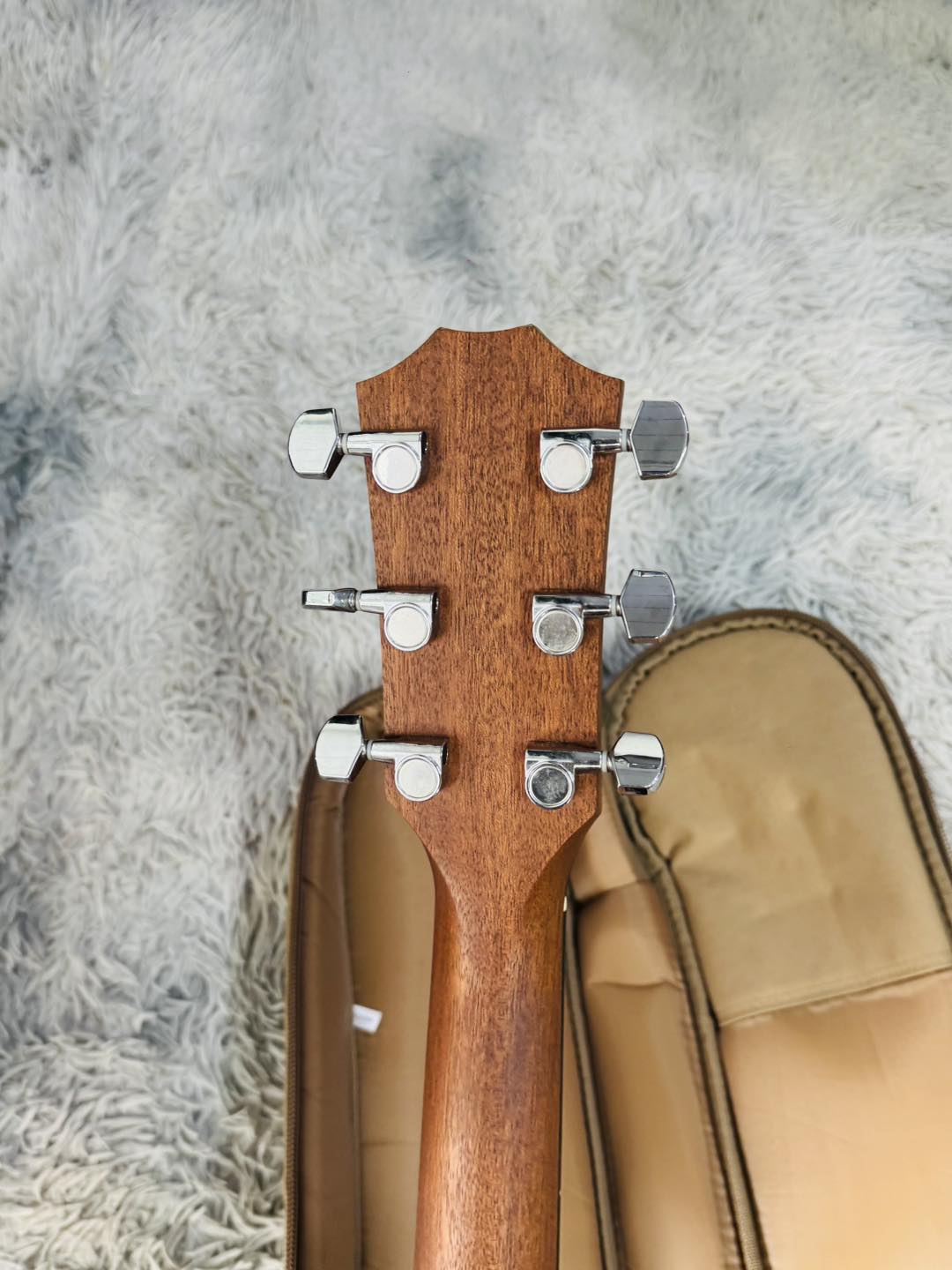 Đàn Guitar Acoustic Taylor 110