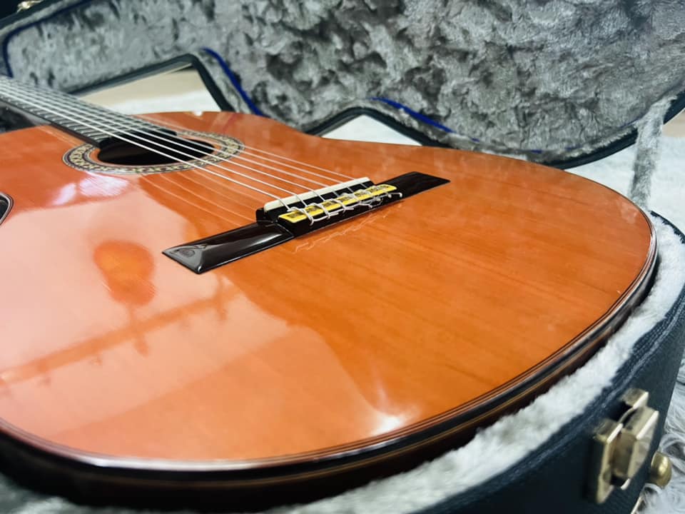 Đàn Guitar Classic Hiroshi Tamura P100