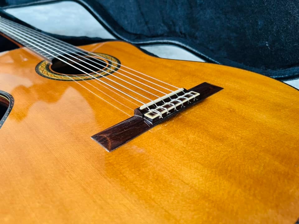 Đàn Guitar Classic Takamine DMP316