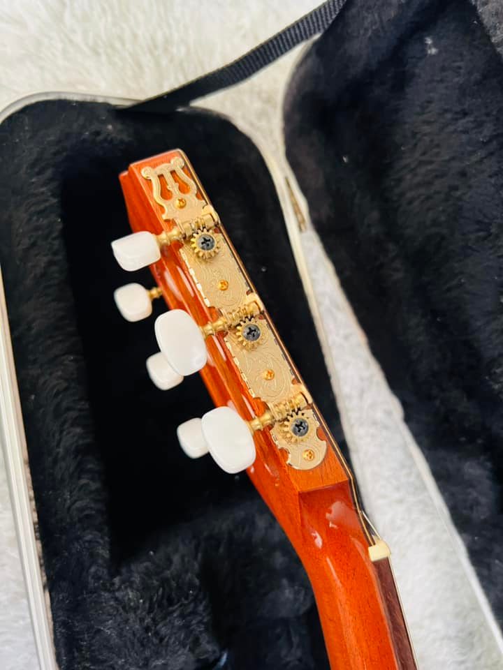 Đàn Guitar Classic Takamine E30