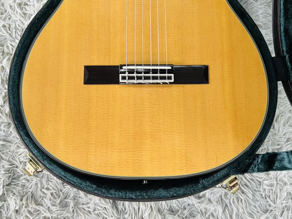 Đàn Guitar Classic Takamine NPT315