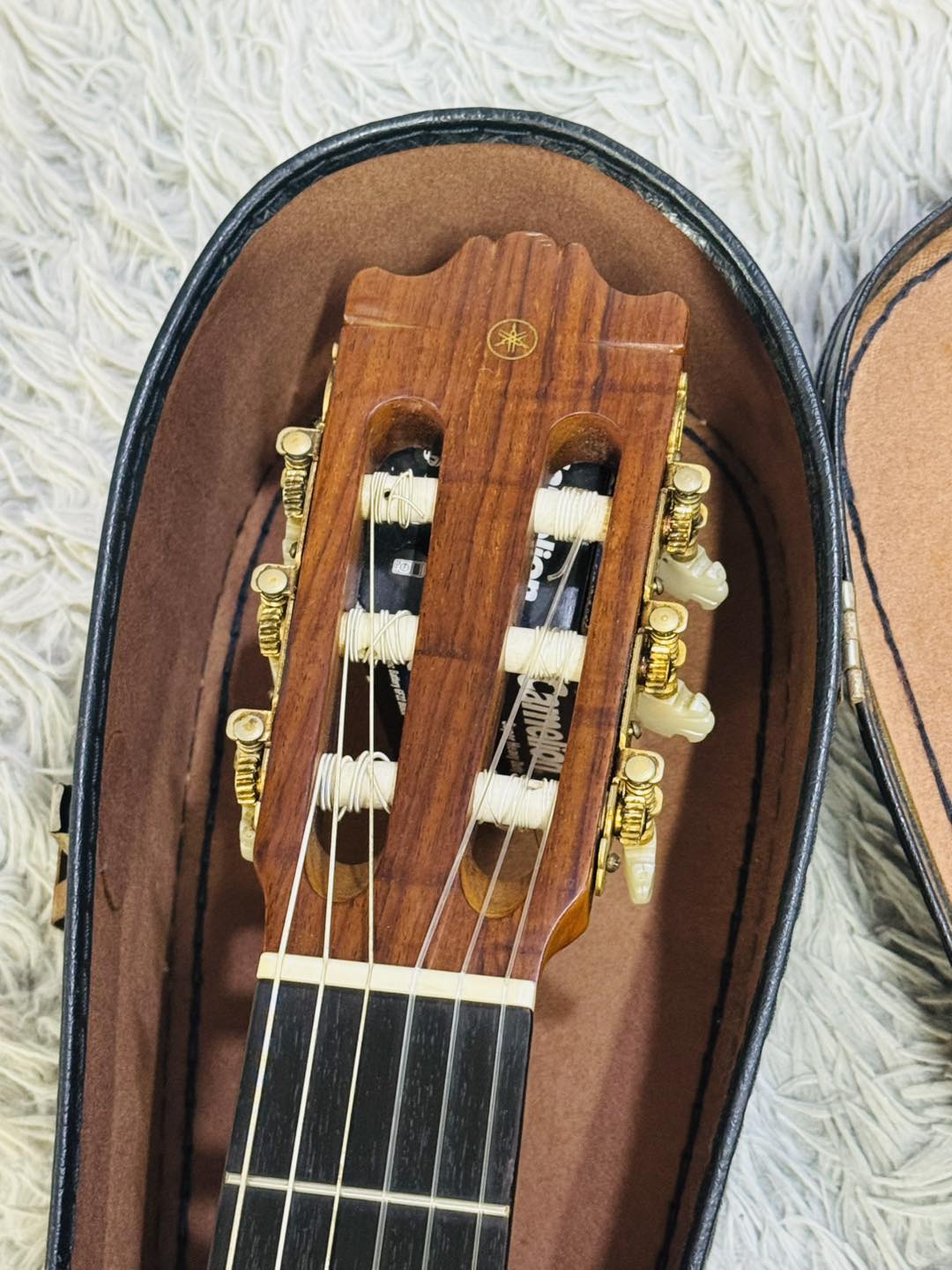 Đàn Guitar Classic Yamaha C 250