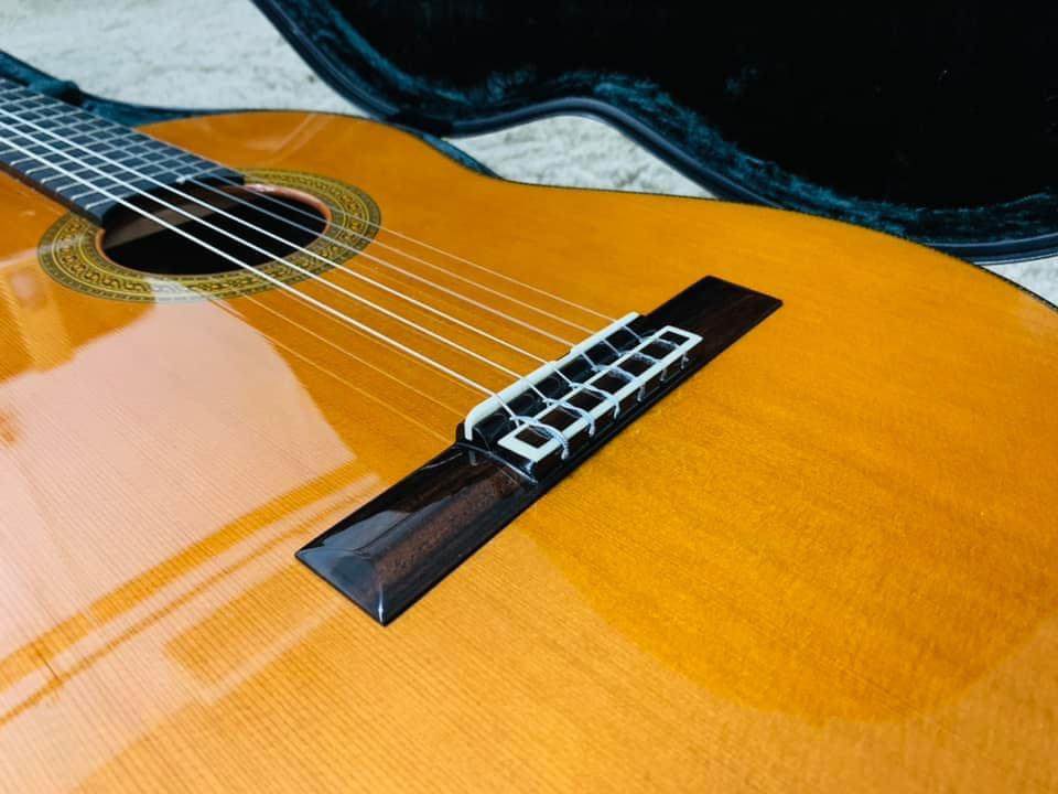 Đàn Guitar Classic Yamaha GC41C