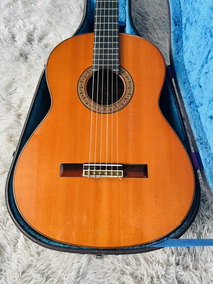 Đàn Guitar Classic Yamaha GC6D