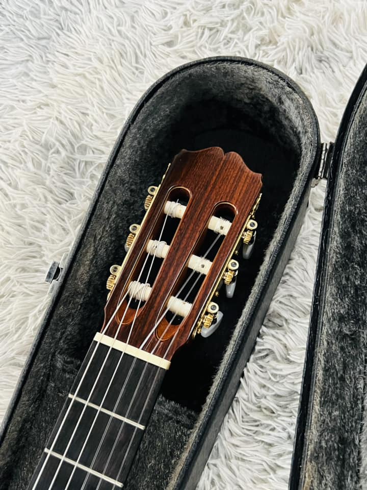 Đàn Guitar Classic Takamine No5