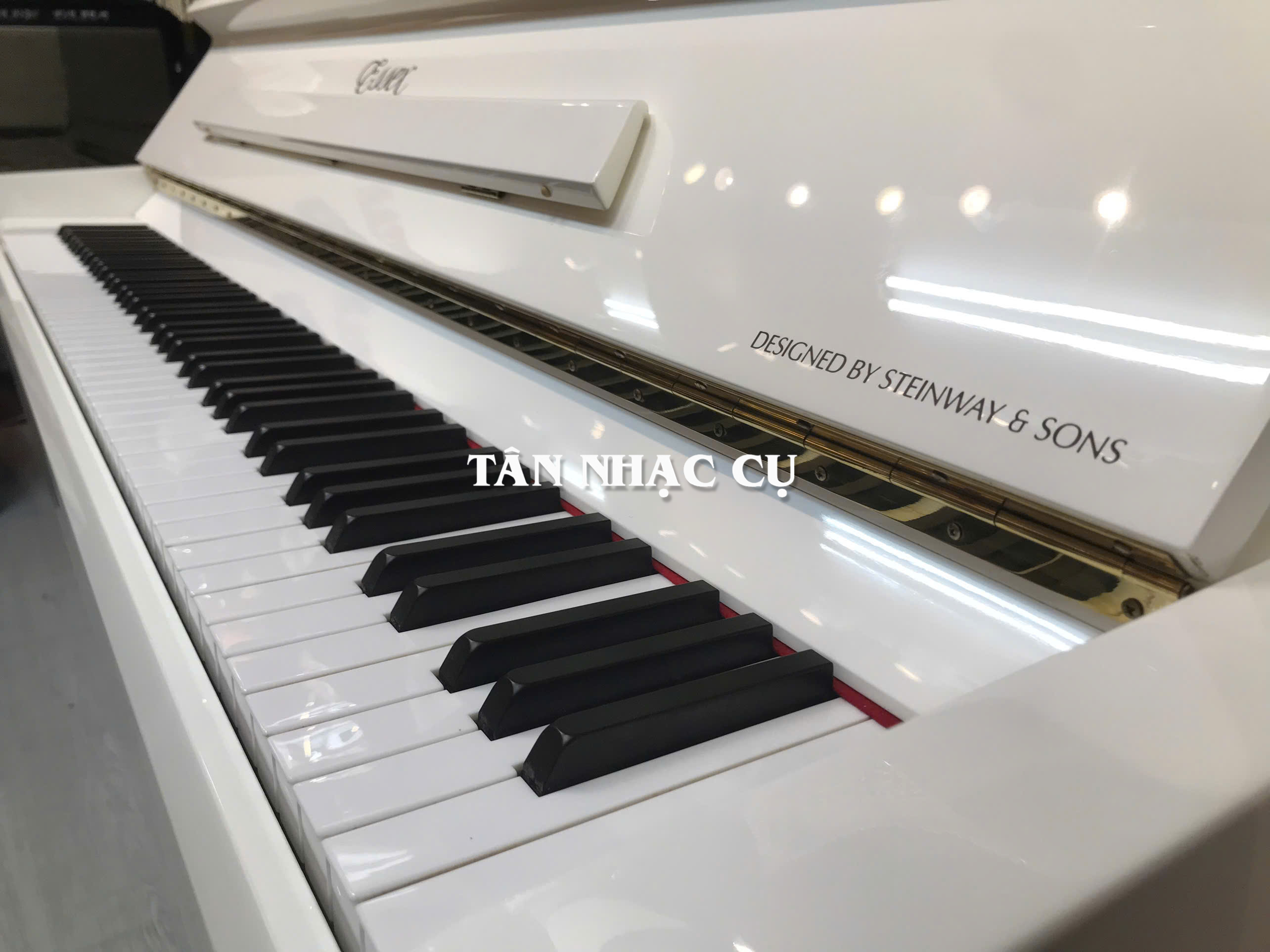 Đàn Piano Cơ Upright Essex EUP123E, Polish White