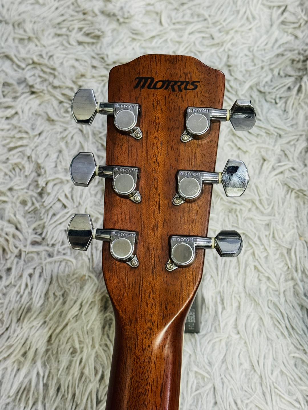 Đàn Guitar Acoustic Morris MF601