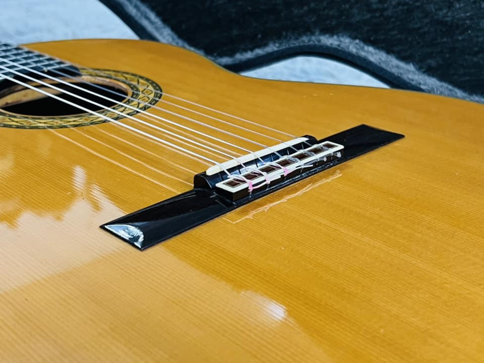 Đàn Guitar Classic Takamine PT310