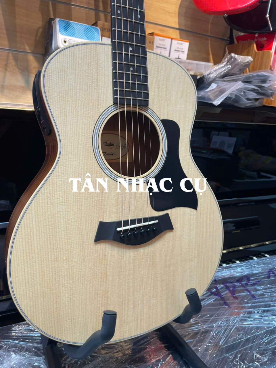 Taylor GS Mini E Rosewood