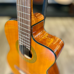 Takamine GC3CE