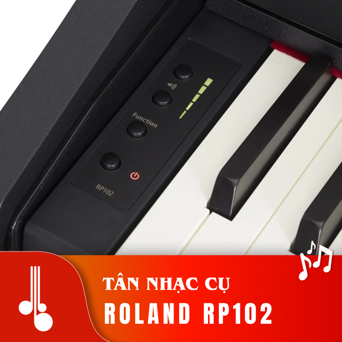 Roland RP102 Tân nhạc Cụ