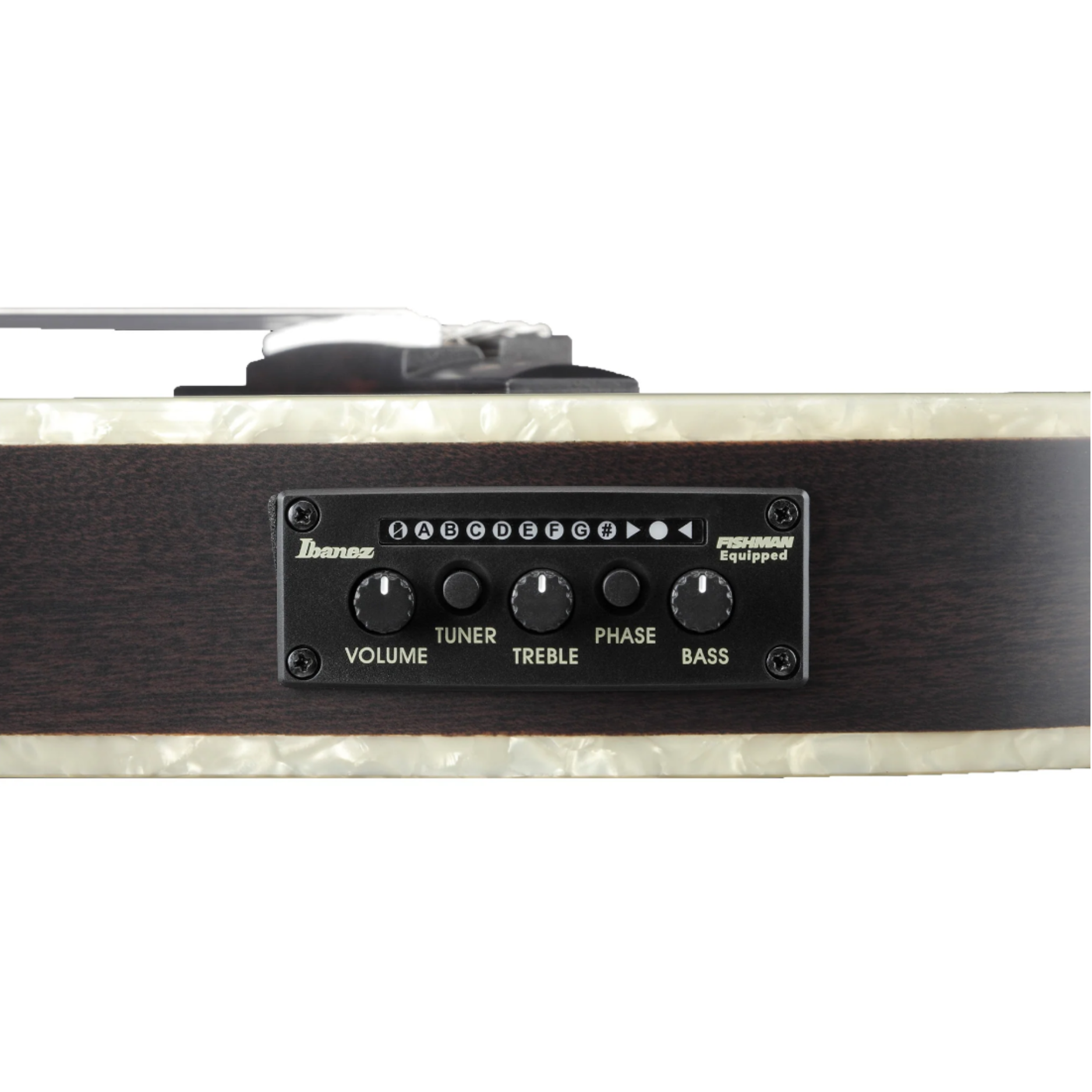 Đàn Guitar Classic Ibanez TOD10N-TKF Tim Henson Signature Nylon String Guitar, Transparent Black Flat