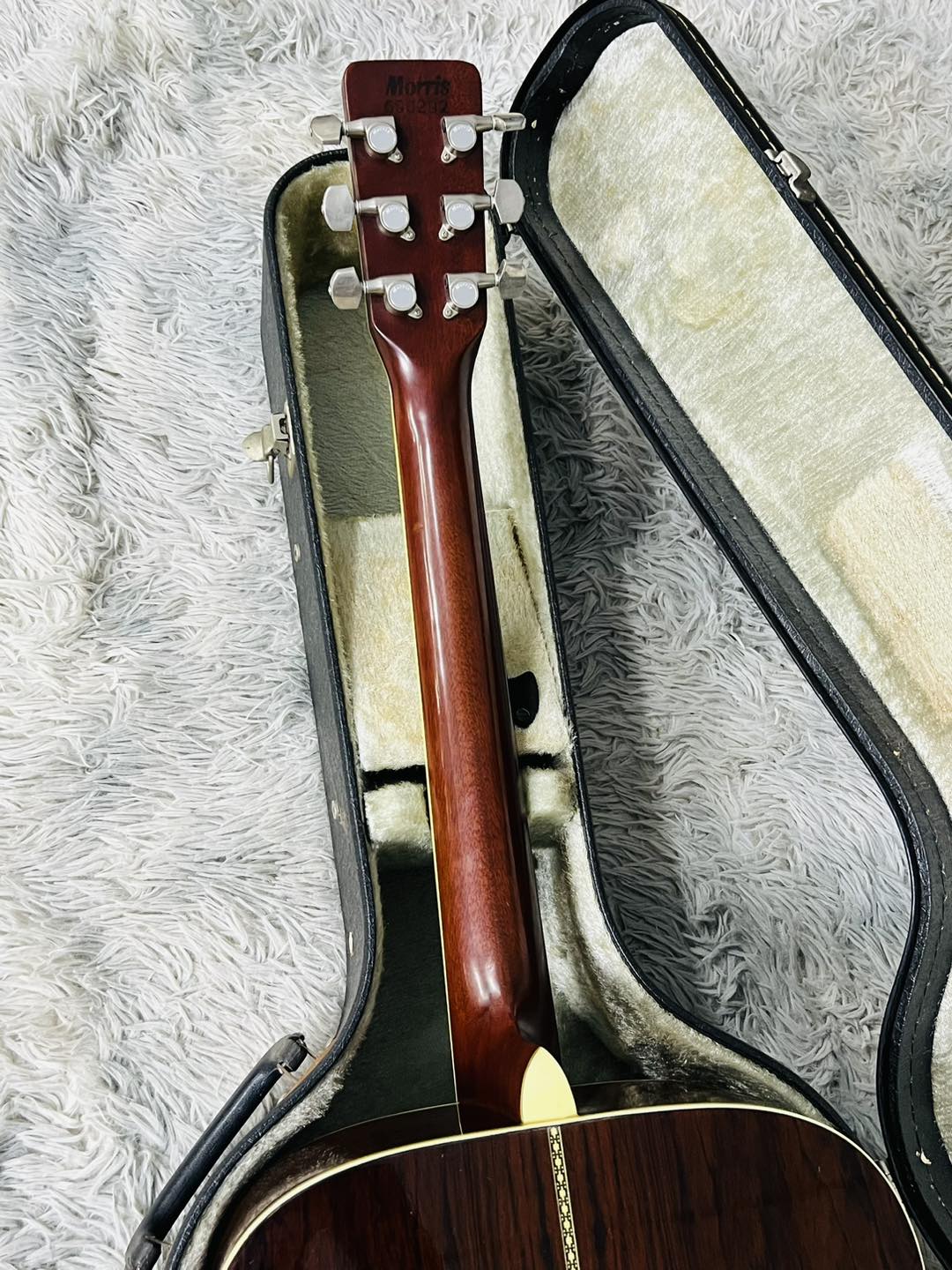 Đàn Guitar Acoustic Morris MD525