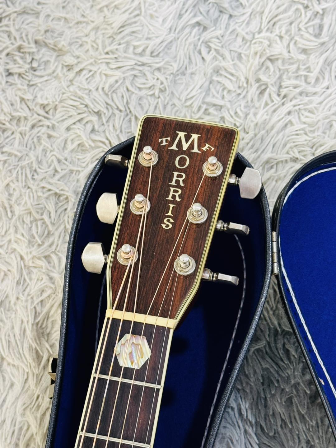 Đàn Guitar Acoustic Morris TF810