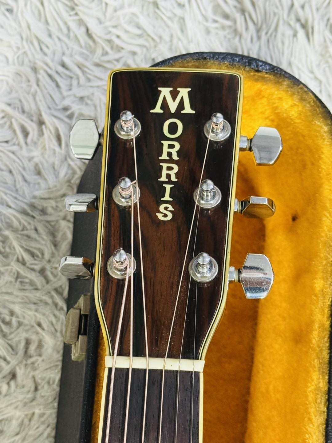 Đàn Guitar Acoustic Morris W40 1978