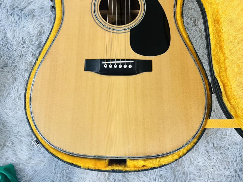 Đàn Guitar Acoustic Morris W50