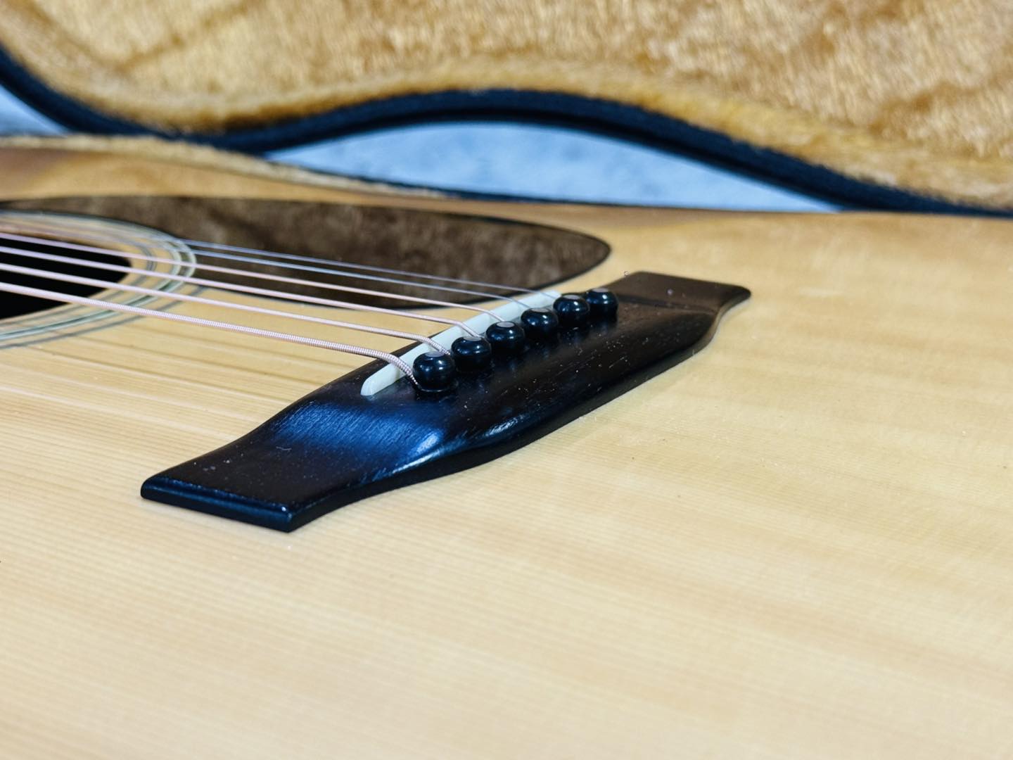 Đàn Guitar Acoustic Morris W60