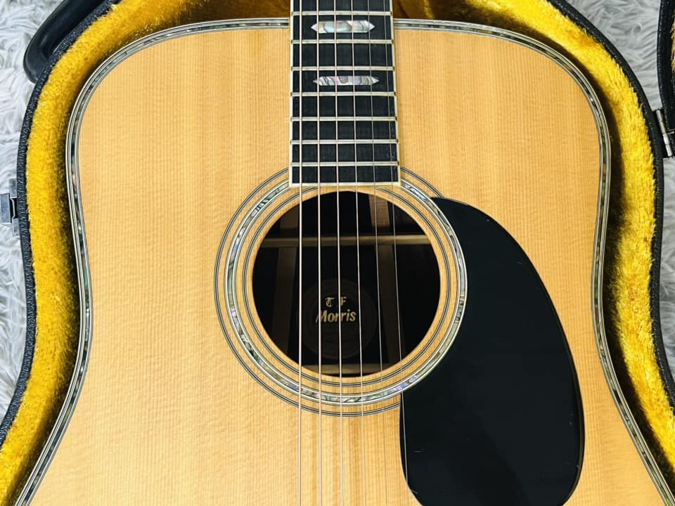 Đàn Guitar Acoustic Morris W80