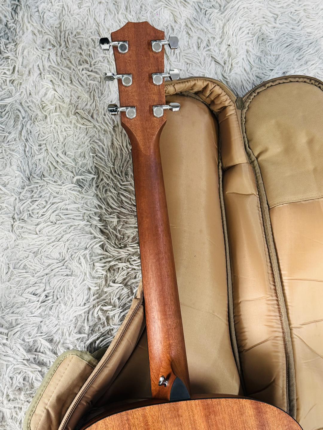 Đàn Guitar Acoustic Taylor 110