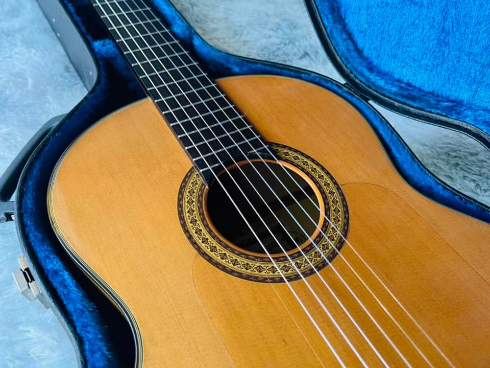 Đàn Guitar Classic Matsuoka NoF50 1978