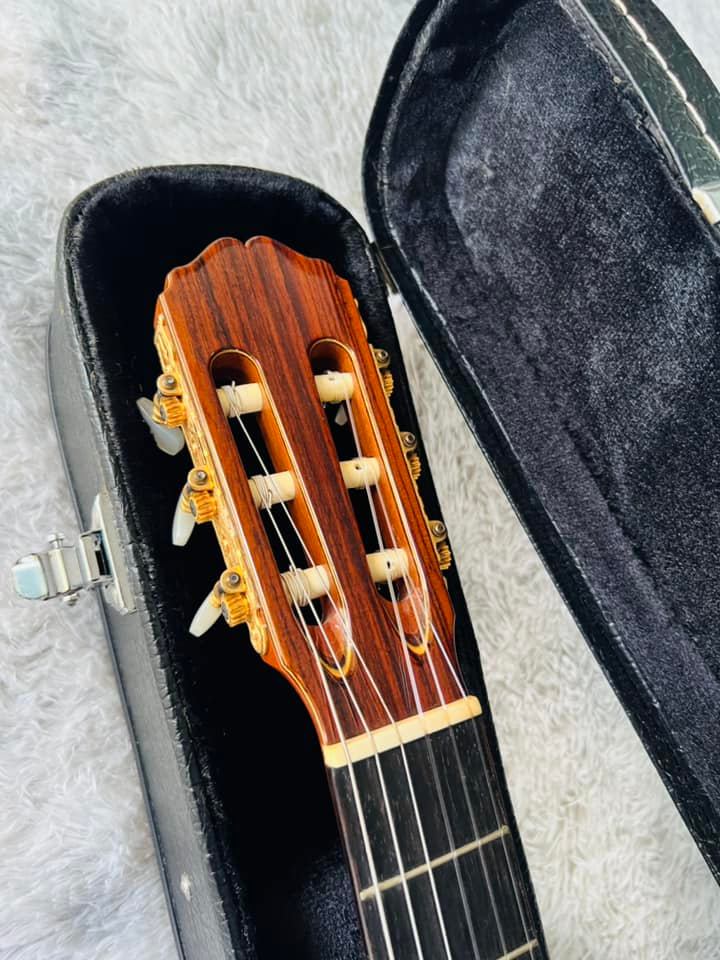 Đàn Guitar Classic Takamine DMP316