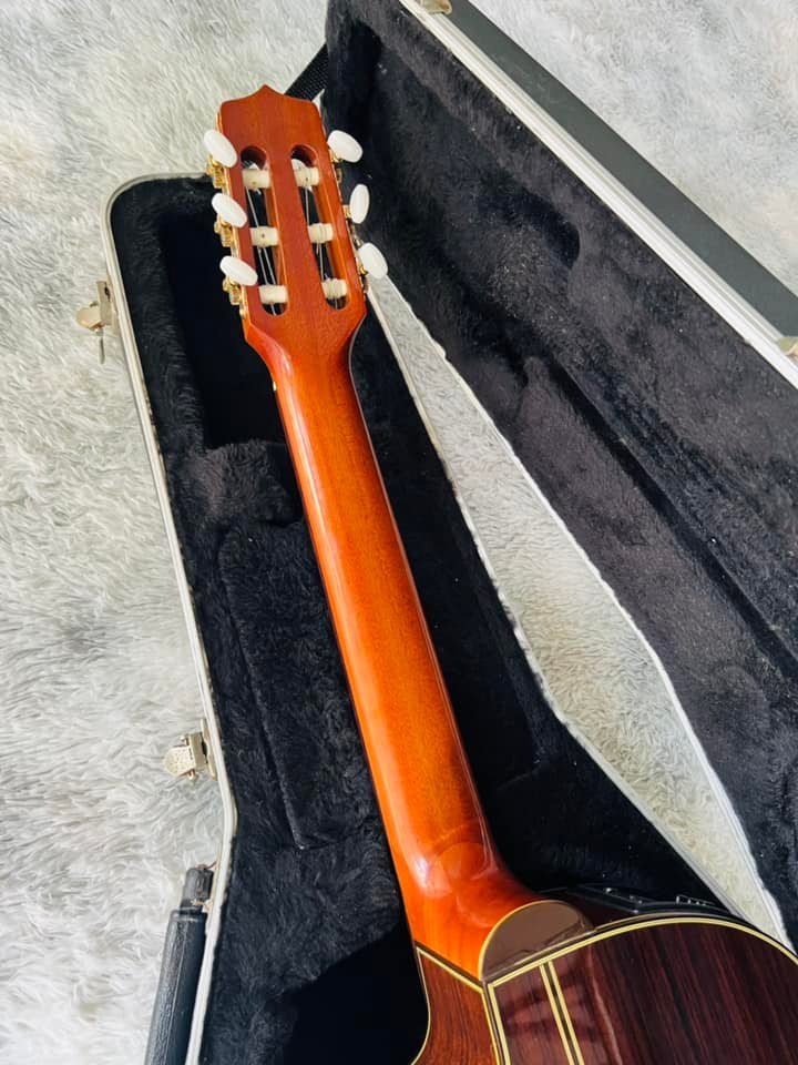 Đàn Guitar Classic Takamine E30