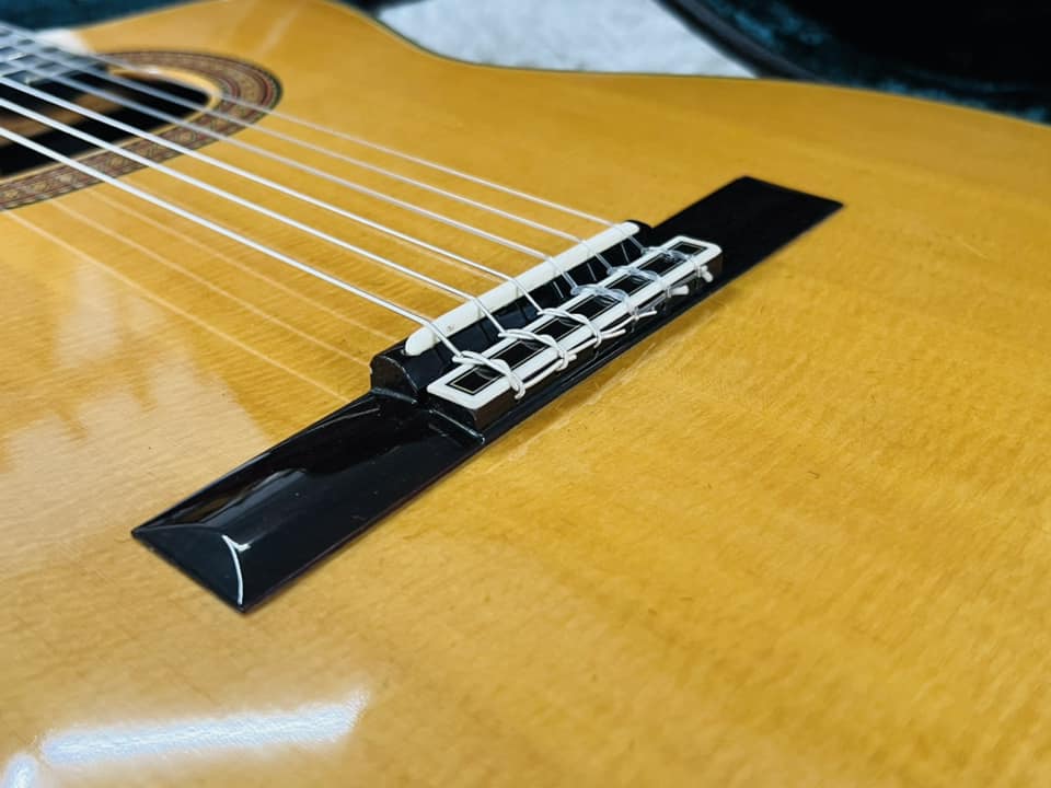 Đàn Guitar Classic Takamine NPT315