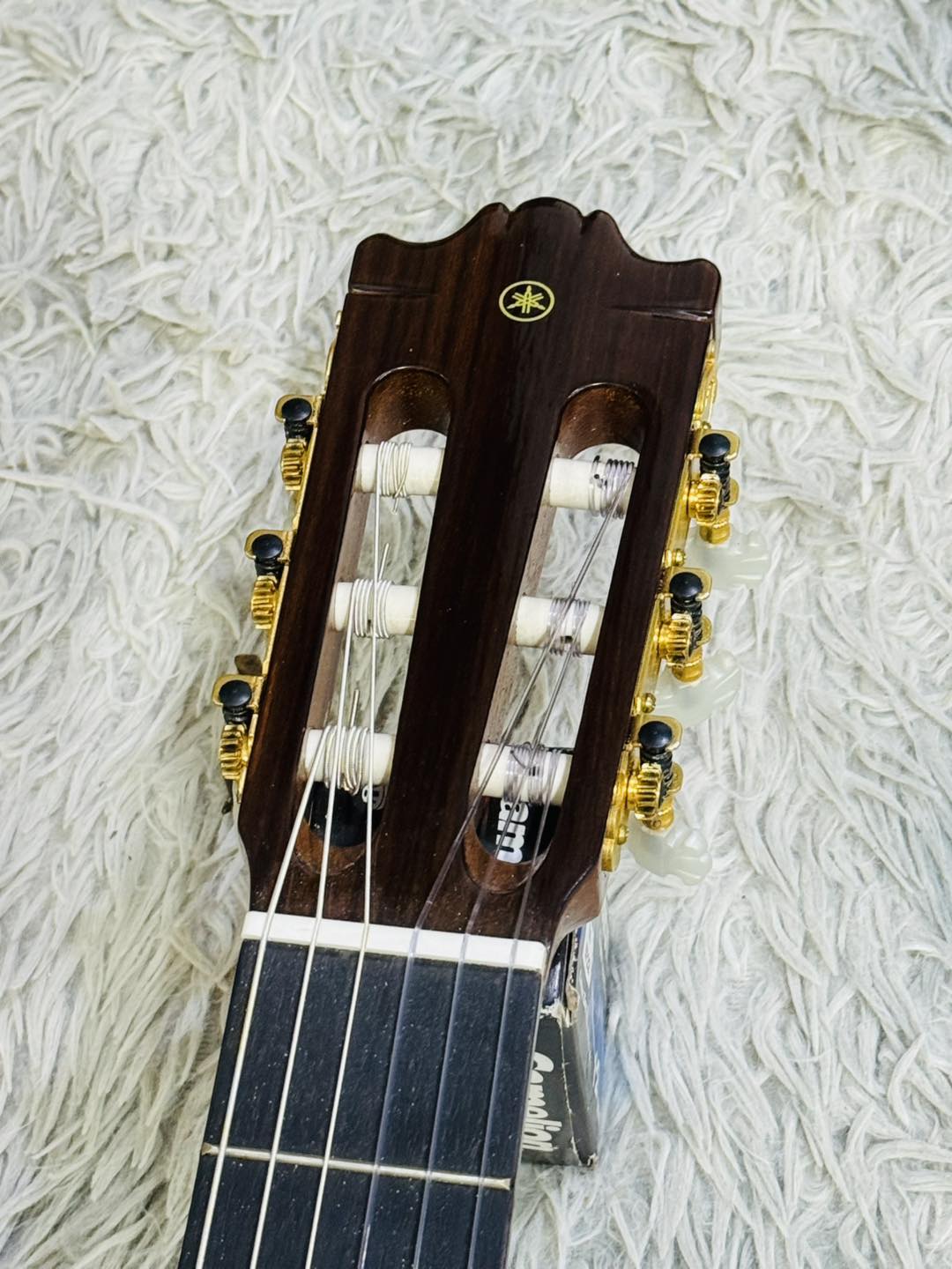 Đàn Guitar Classic Yamaha C300