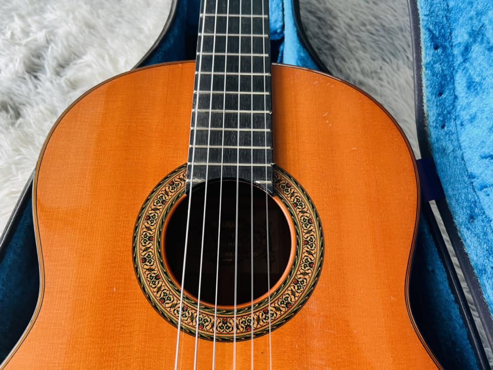 Đàn Guitar Classic Yamaha GC6D